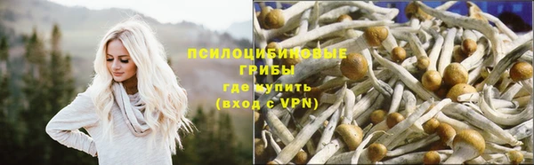 винт Карпинск