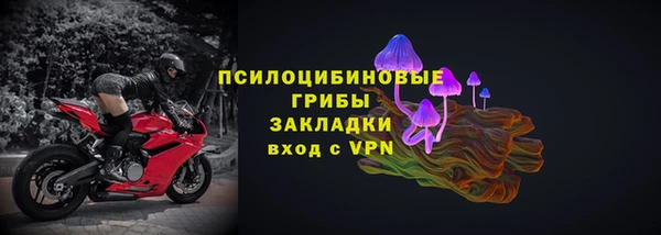 гидра Касимов