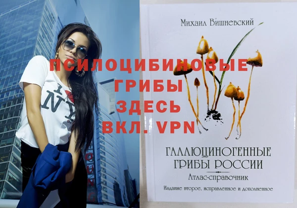 гидра Касимов