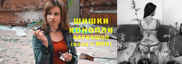 гидра Касимов