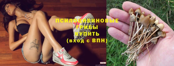 винт Карпинск