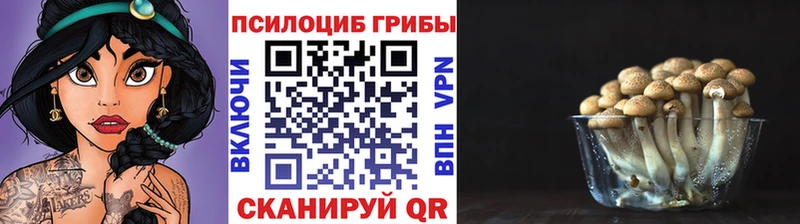 Псилоцибиновые грибы Magic Shrooms  Купить закладки  Калачинск 